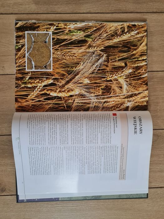 Polska jej zasoby i środowisko