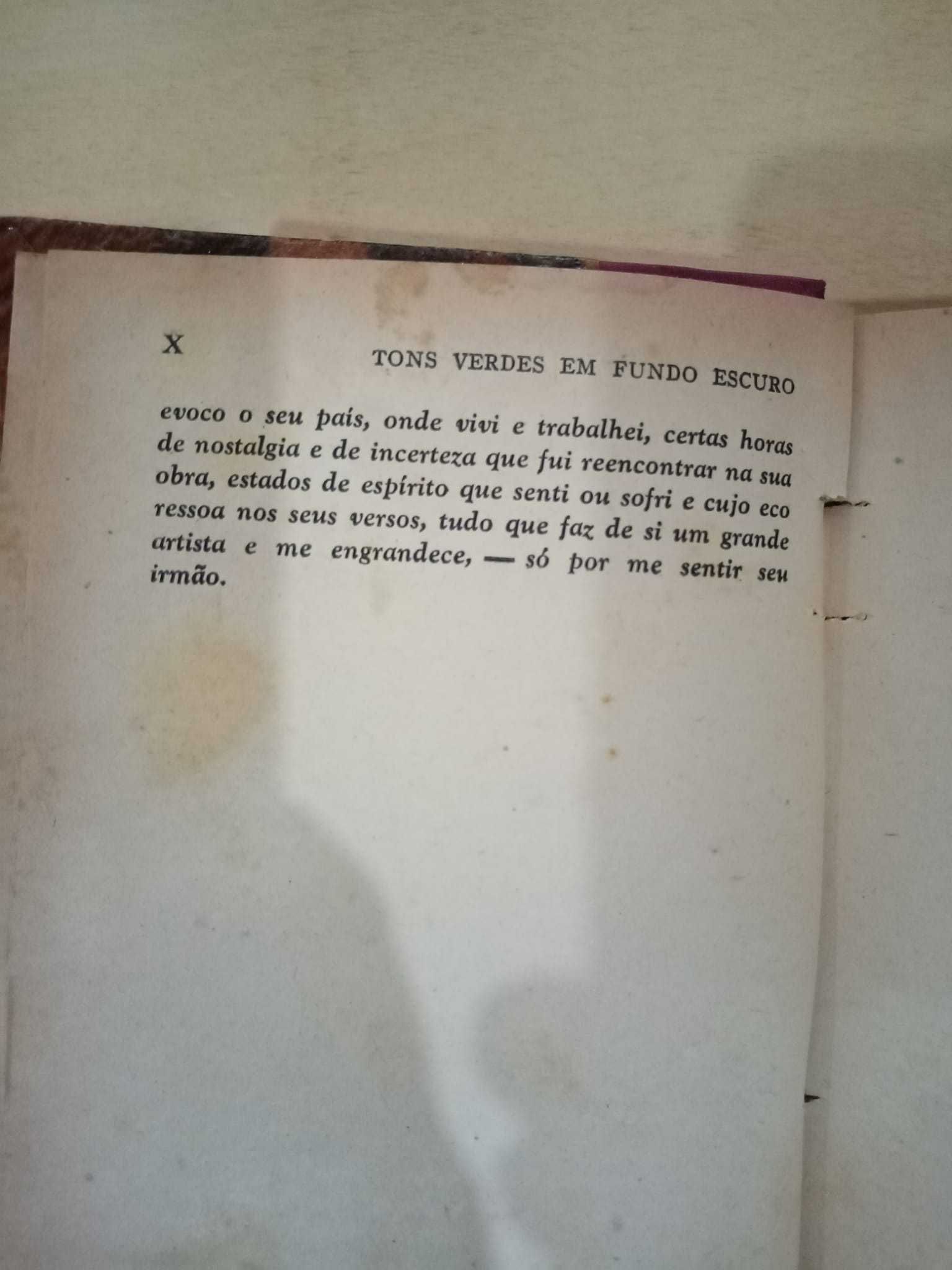 Joaquim Paço d´Arcos, Tons verdes em fundo escuro (Estado Novo)