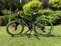 Rower Kross Dust JR 1.0