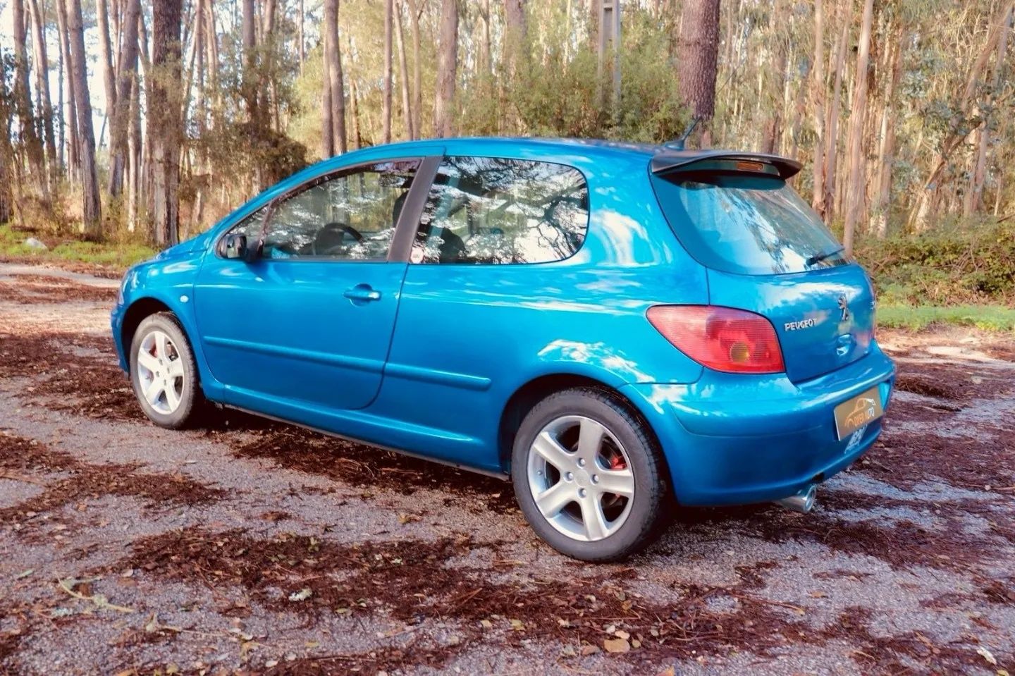 Peugeot 307 1.6 GPL