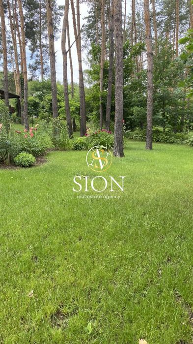 Продаж ділянки 1,5 Га, Ходосівка, сосни, під котеджне містечко