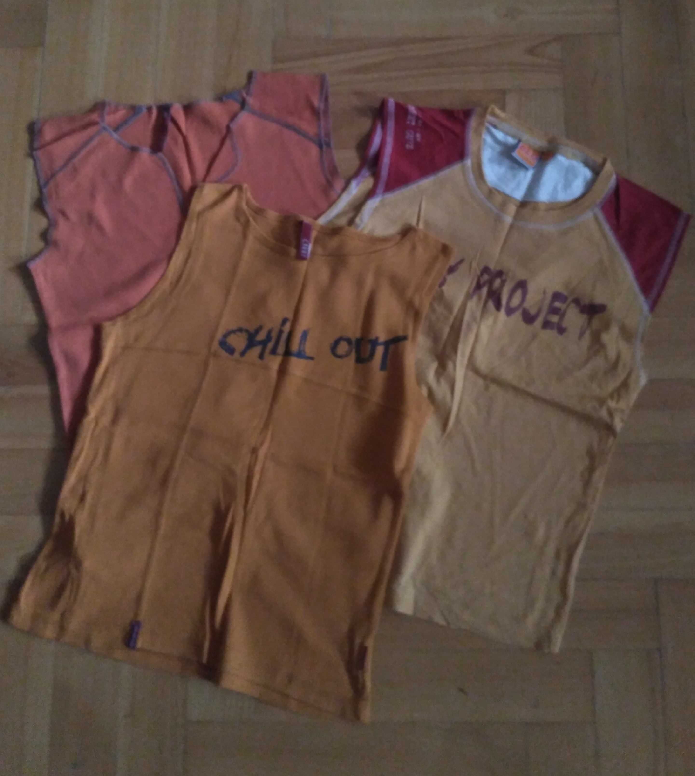 Kamizelka z kapturem i 3 koszulki, kolor rudy/ceglany, roz.S