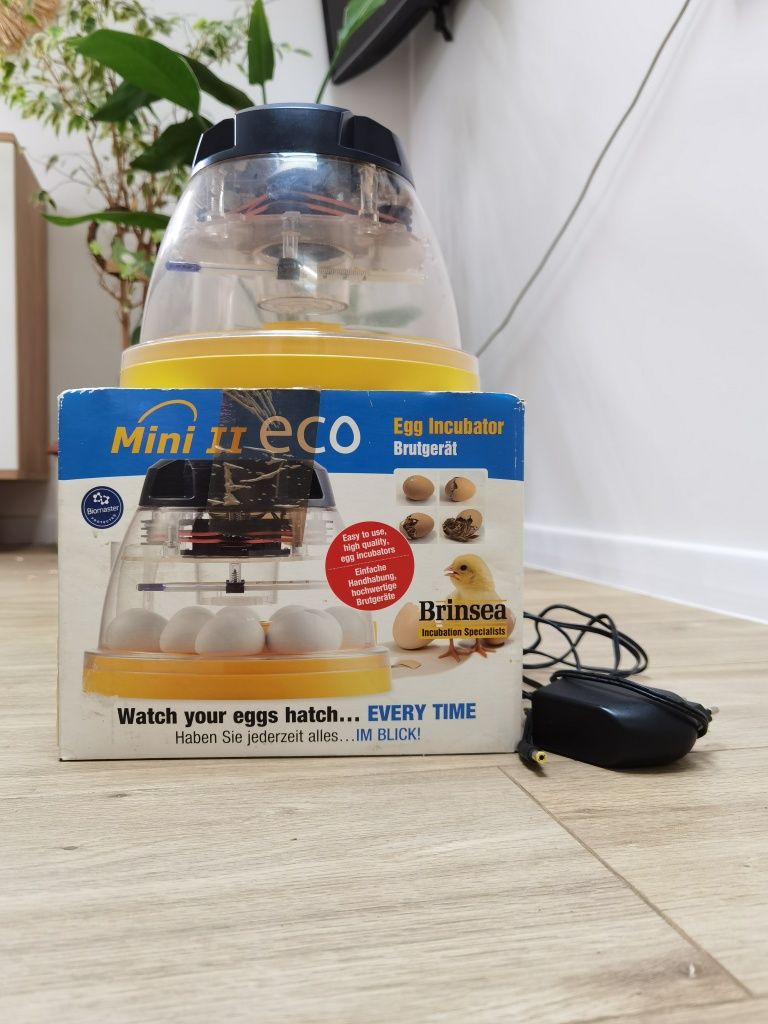 Inkubator Brinsea Mini II Eco na 10 jaj kurzych