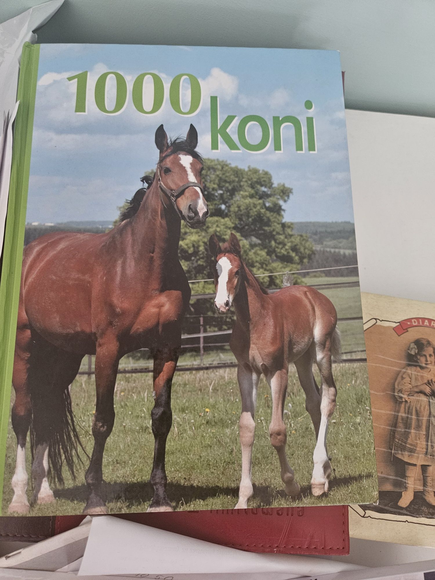 Ksiazka 1000 koni