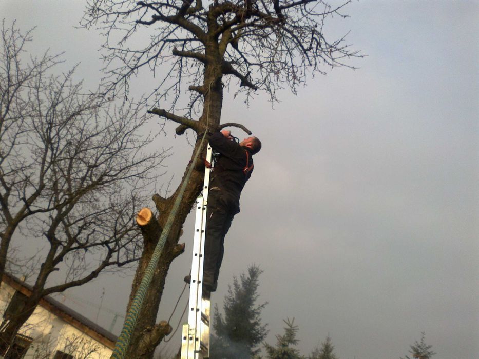 Przekopywanie ziemi działki pola Warszawa i okolice