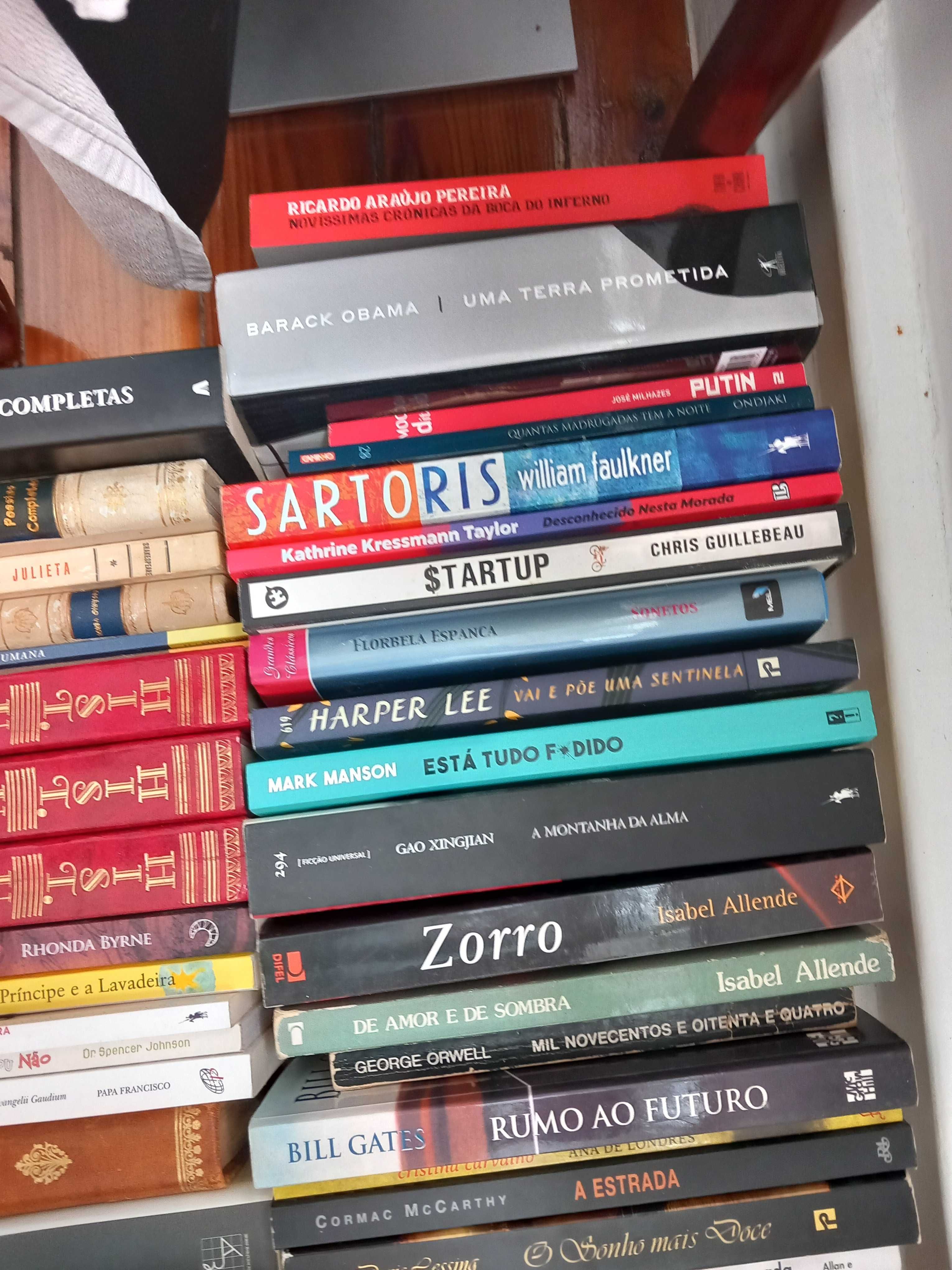 Lote de 74 Livros de qualidade