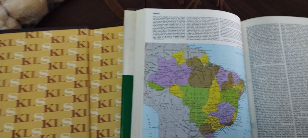 Dicionário enciclopédico koogan Larousse 2 volumes