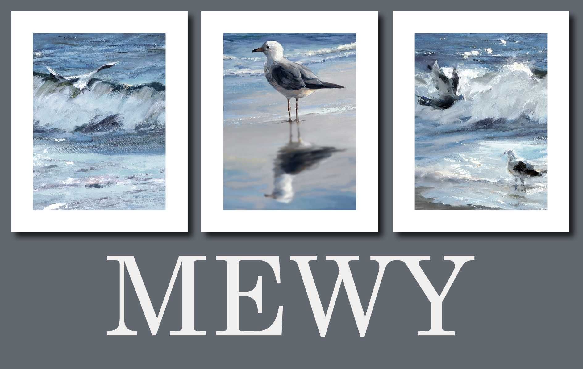 MEWY 3 plakaty 40x50 cm