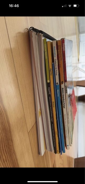 Livros de fichas 6º ano