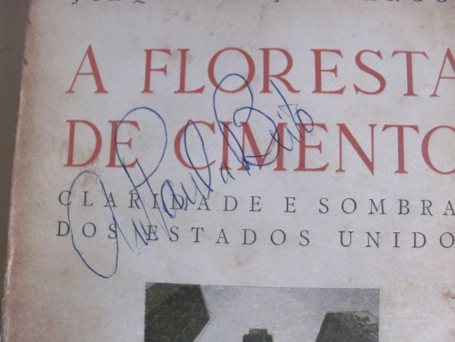 A Floresta de Cimento de Joaquim Paço D´Arcos
