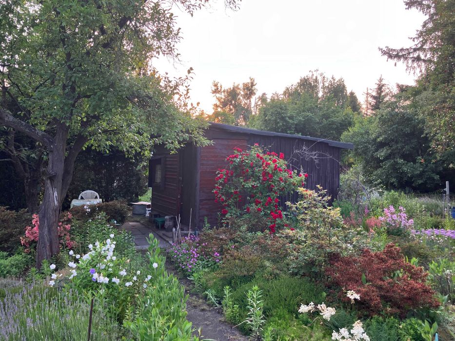 Działka Rekreacyjna ROD na Paluchu