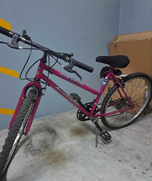Vendo bicicleta adulto