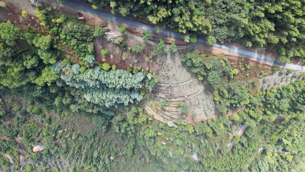 Terreno 1,2 ha com viabilidade de construção – Esculca