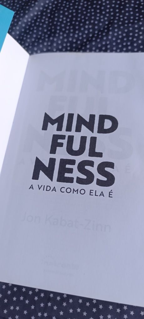 Mindfulness Jon kabat-Zinn
