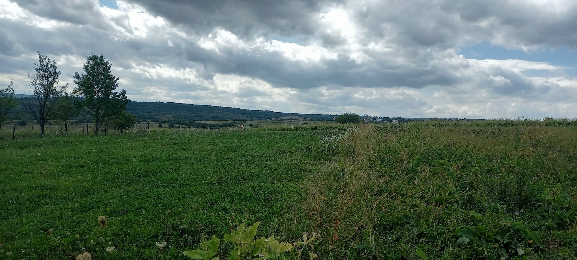 Продається план під забудову