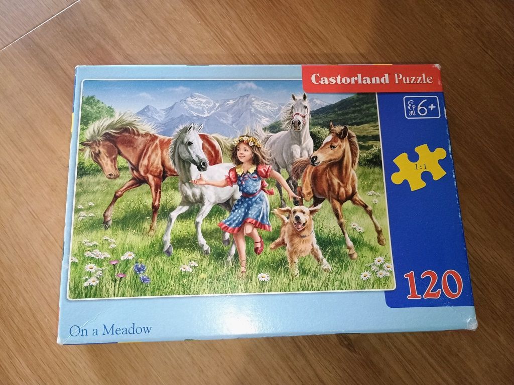 Puzzle konie 6+ castorland