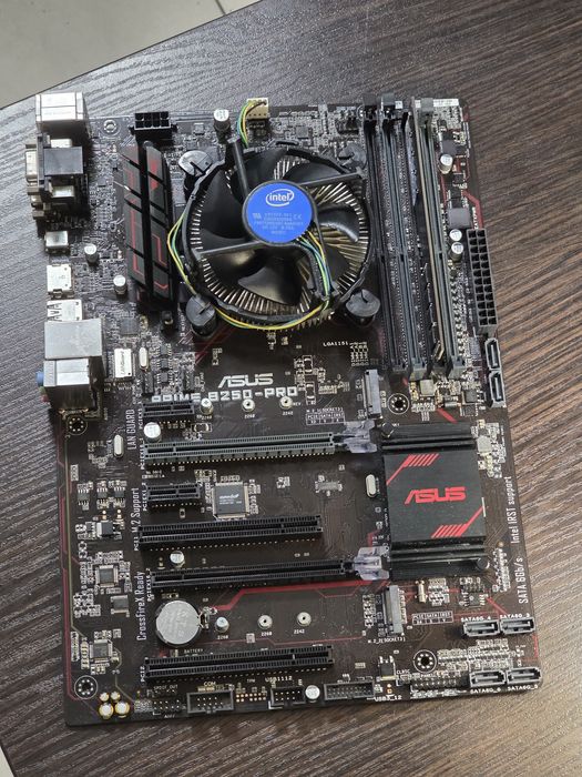 Материнская плата Asus Prime b250 pro