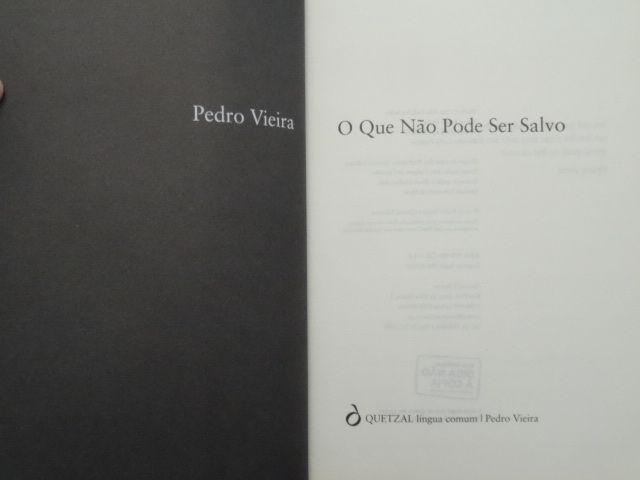 O Que Não Pode Ser Salvo de Pedro Vieira - 1ª Edição