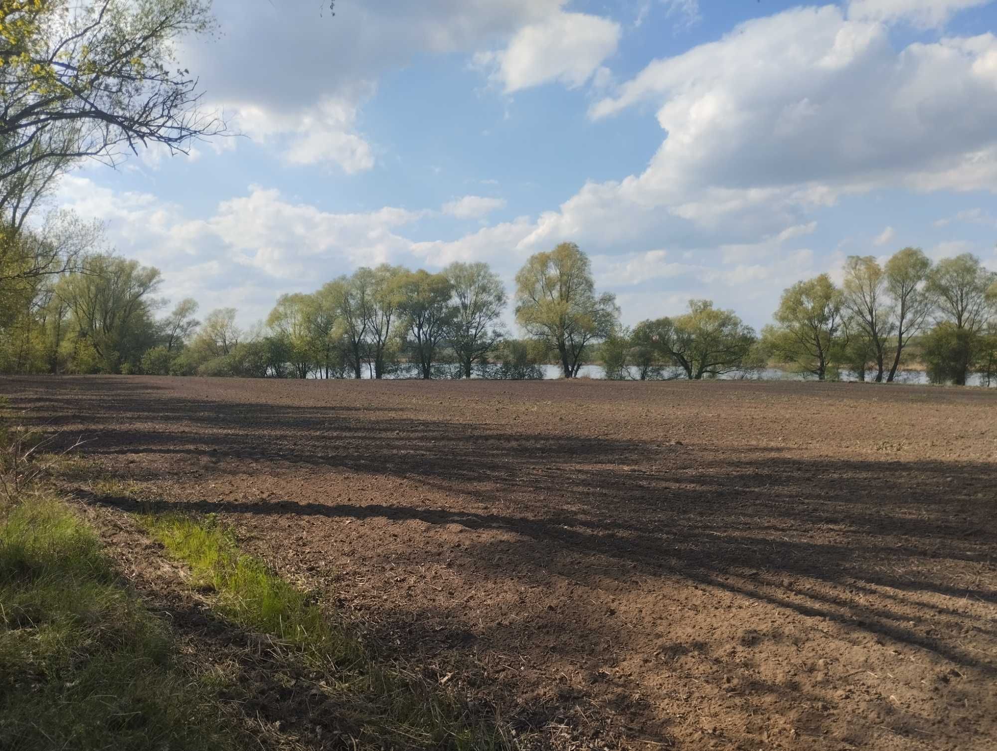 Działka z bezpośrednim dostępem do linii brzegowej jeziora Żernickiego