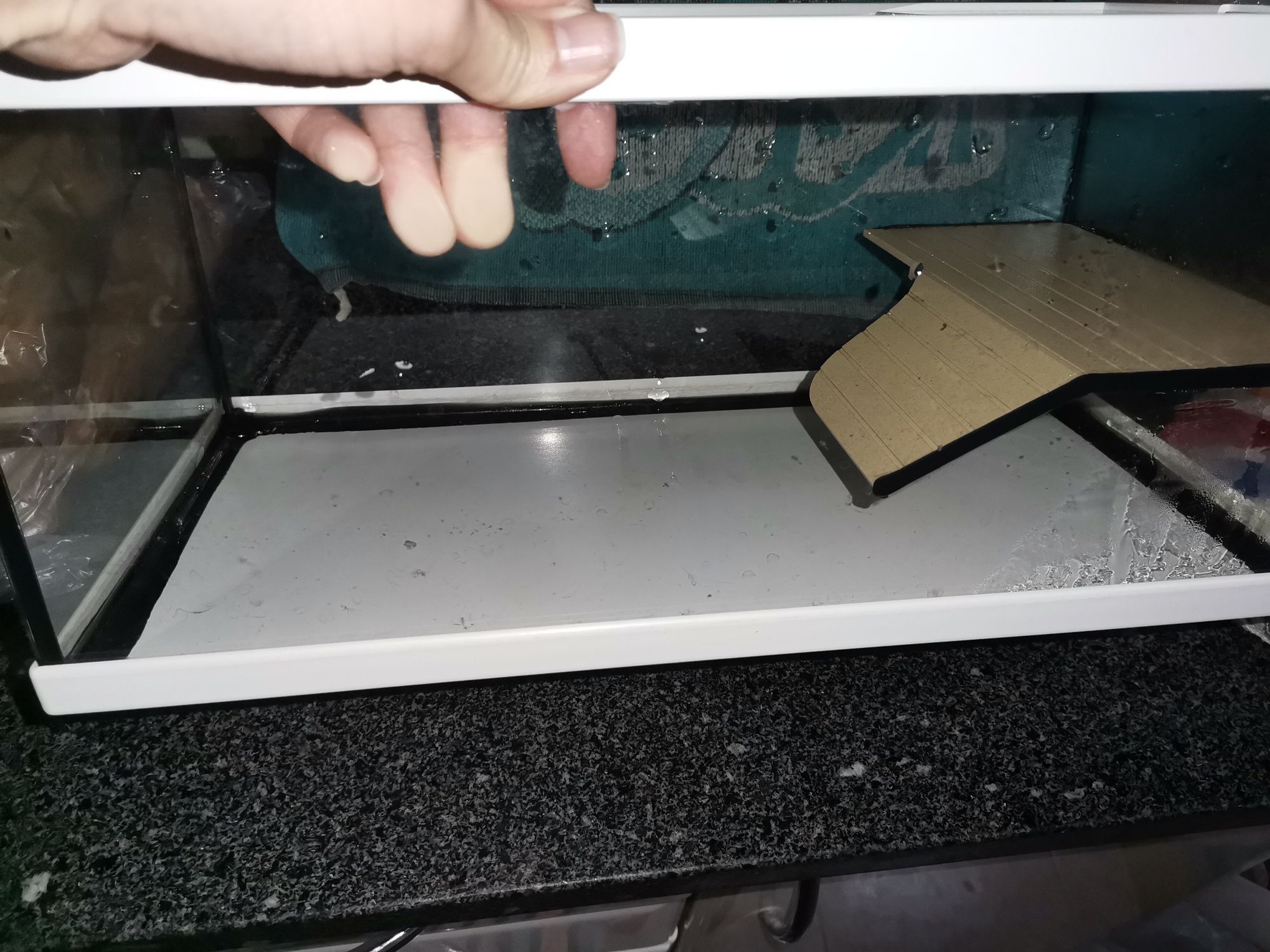 Aquário vidro para tartaruga