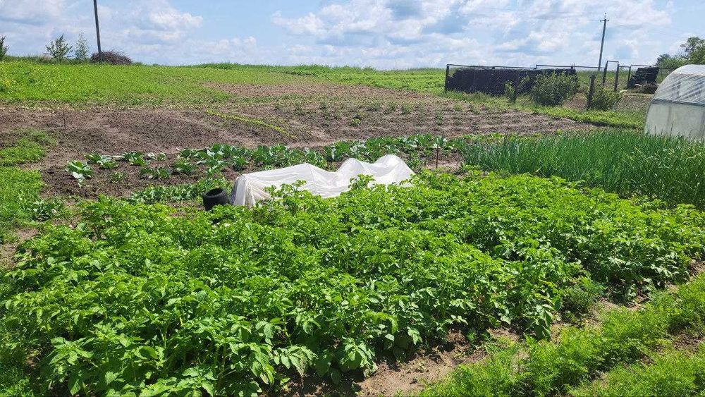 !!! Продам будинок з облаштованим бомбосховищем с.Вознесенське