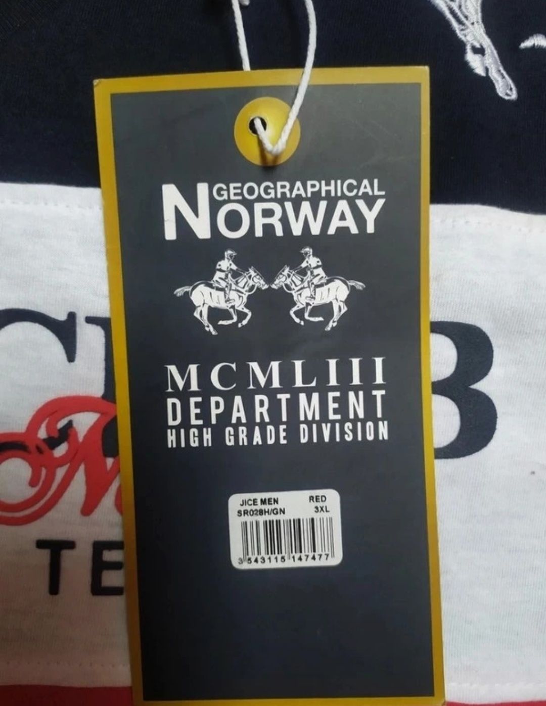 Koszulka bluzka t-shirt męski XXXI geographical Norway