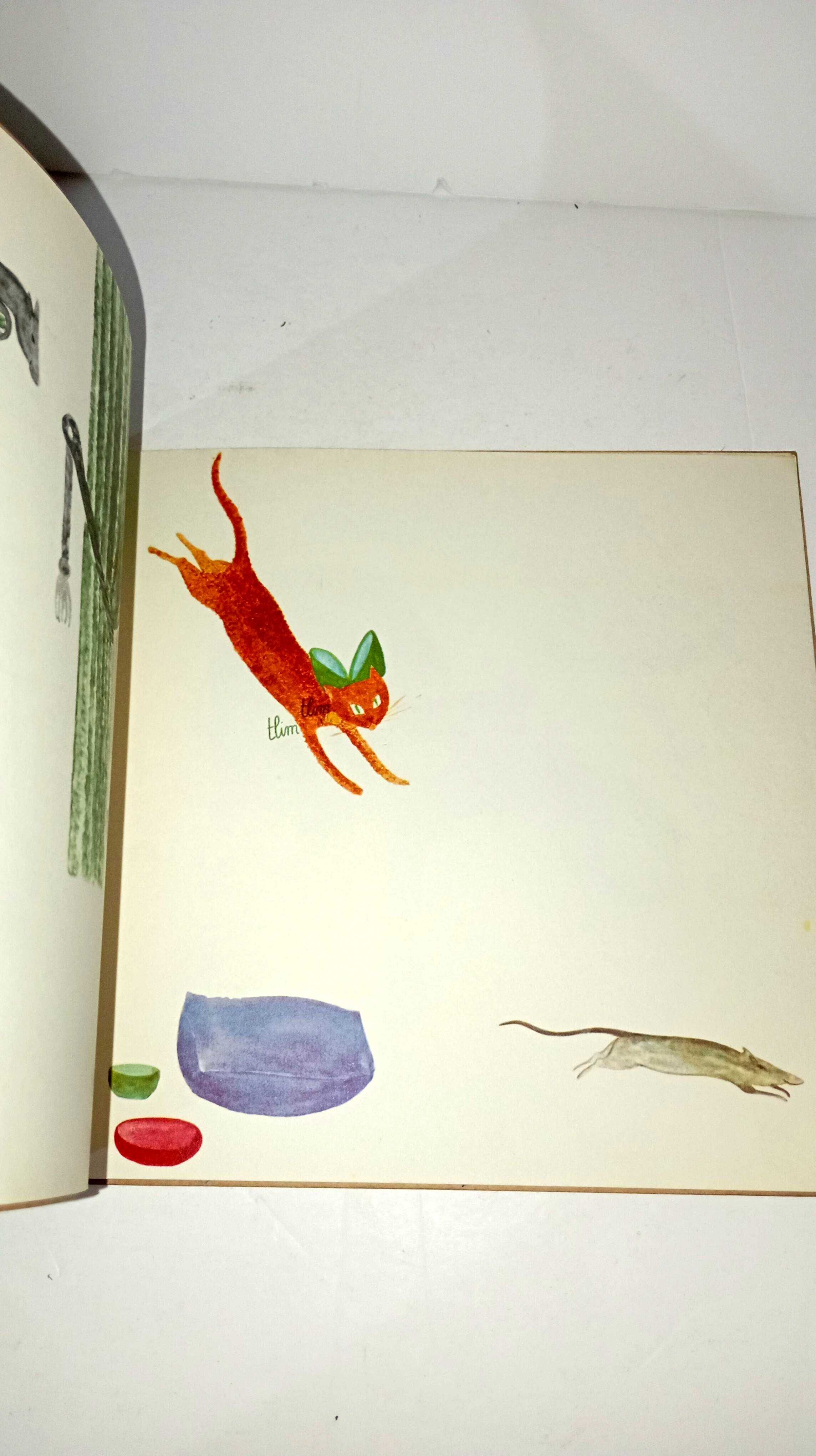 O Gato e o rato - Luísa Ducla Soares