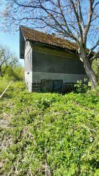 Дачна ділянка.  Дача. Шевченківський район, в напрямку Рясне.