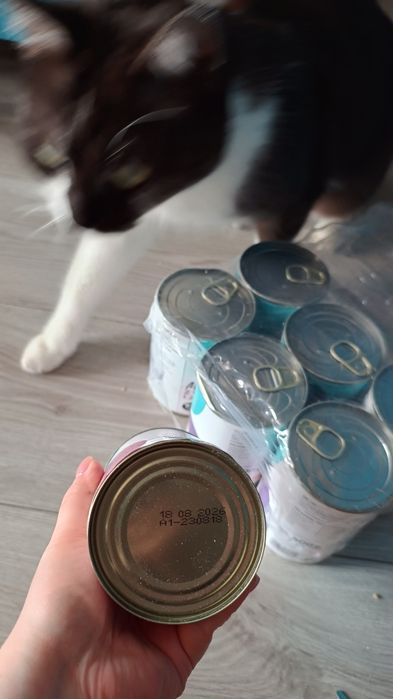 Mokra karma dla kota KOEMA wołowina z jagnięciną 6x 400g