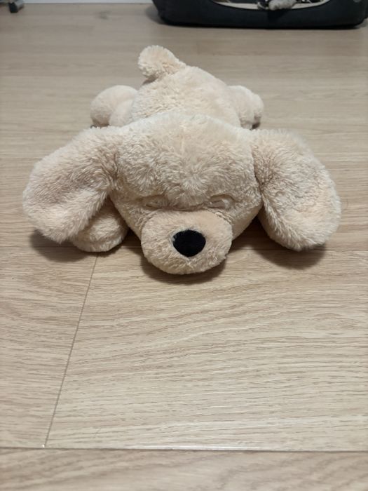 Piesek interaktywny  Pepco