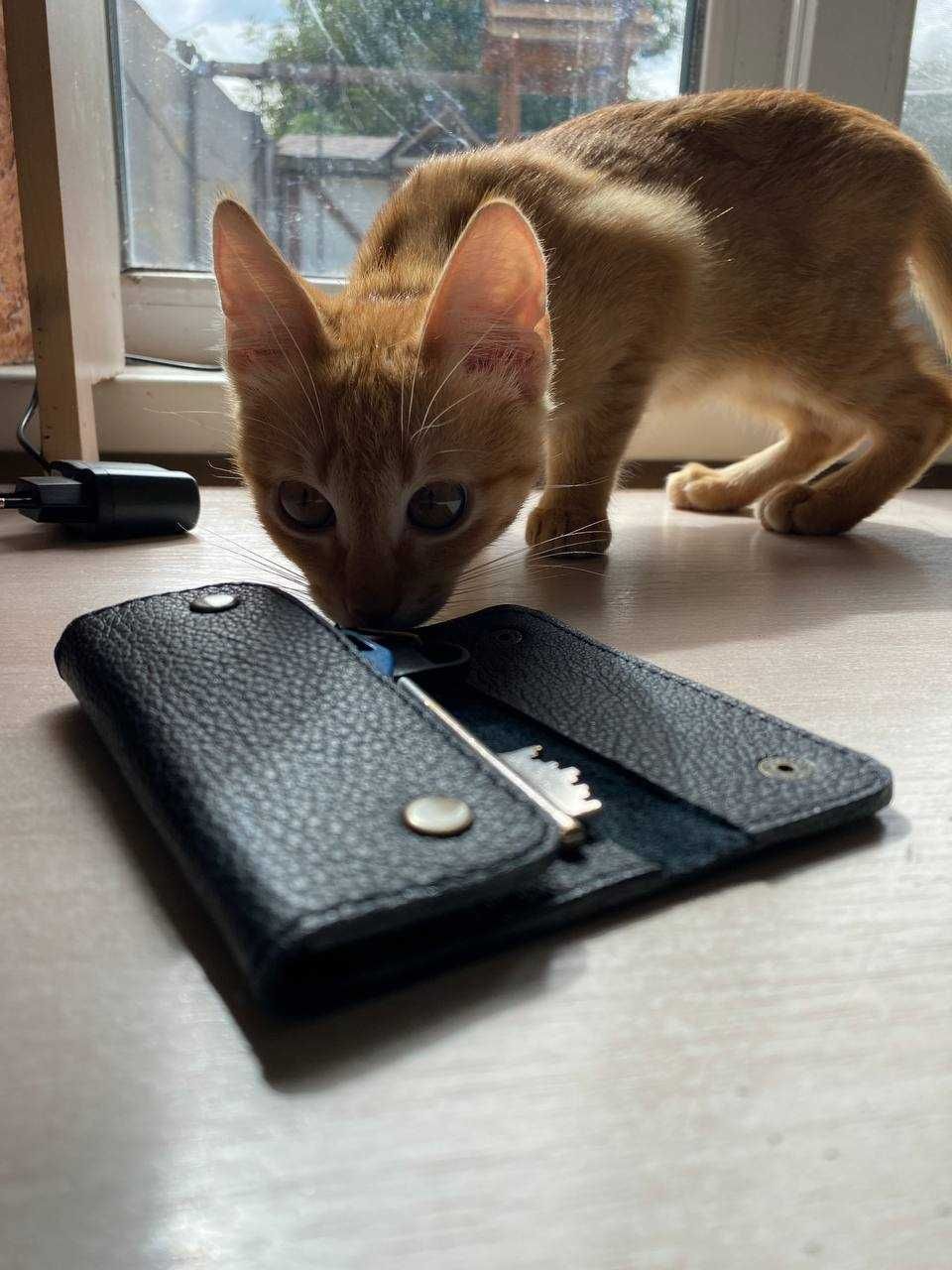 Ключниця шкіряна