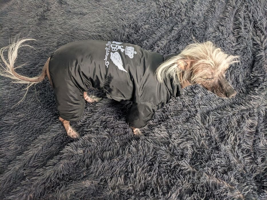 Двусторонний комбінезон