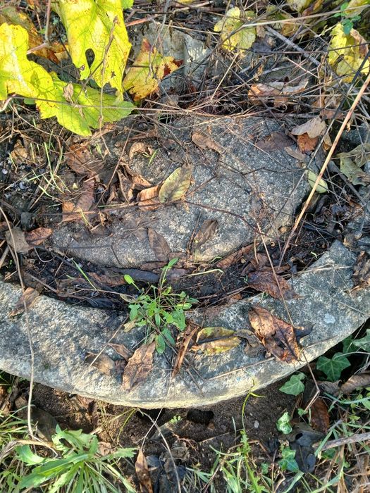 Pias e fontanários antiguidades