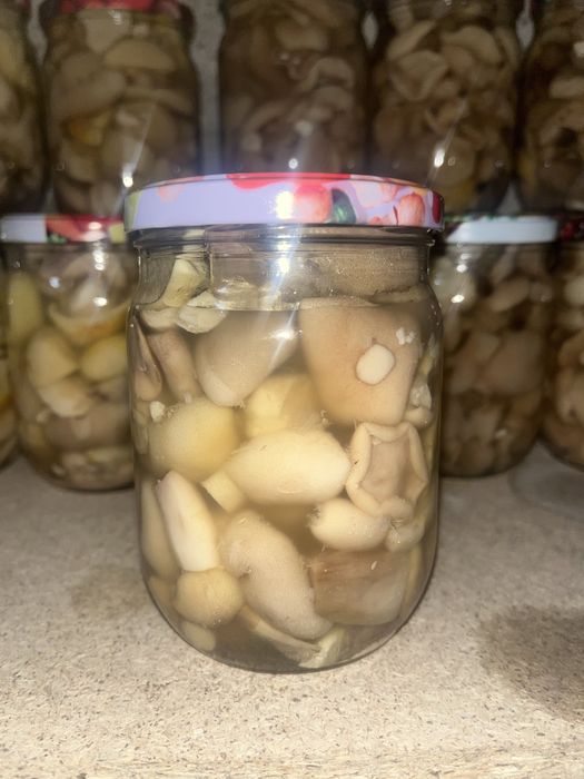 Гриби мариновані маслюки-білі (мікс)