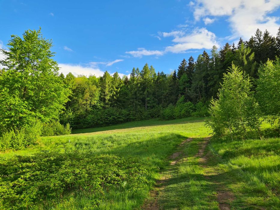 MEGA Widokowa działka 6km od KARPACZA - zalew Sosnówka -Budowlana z WZ
