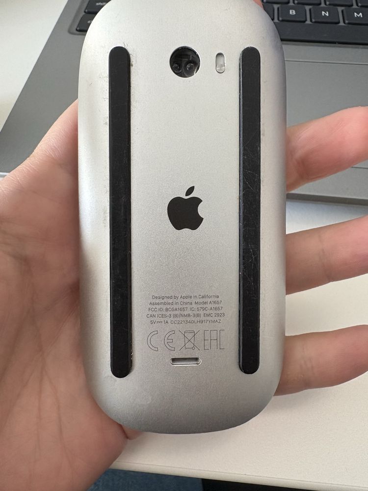 Rato / Mouse Apple
