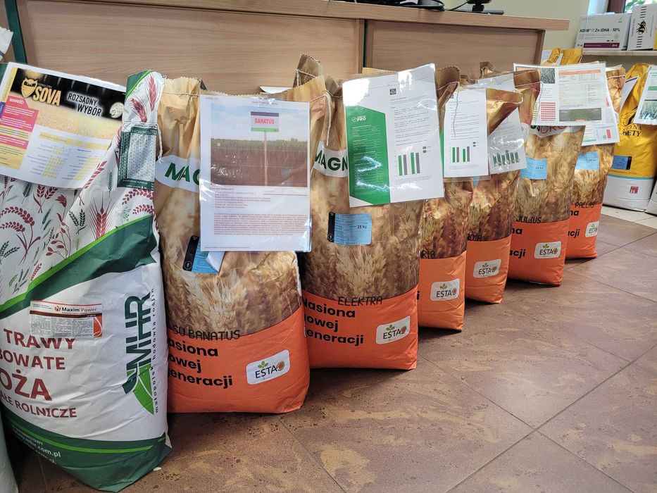 Pszenica ozima LG Keramik Findus Belissa California Wilejka Elektra C1