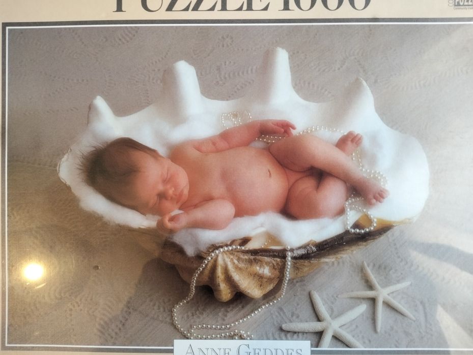 Puzzle 1000 peças - Anne Geddes Educa selado