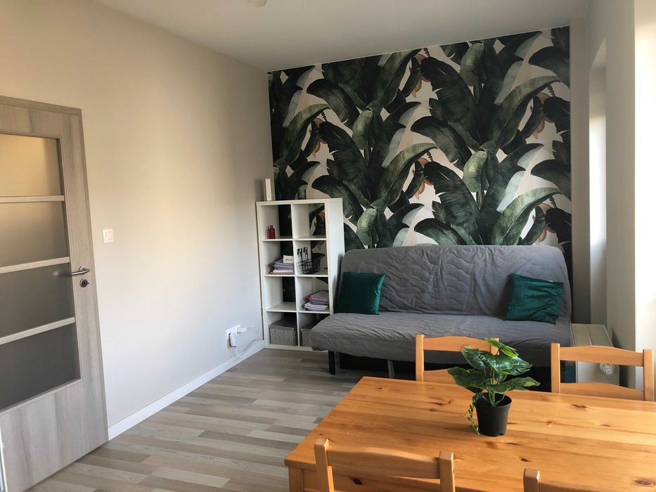 Rakowicka, dostępne od stycznia 2026