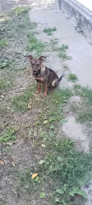 Супер класнюча позитивна Карамелька