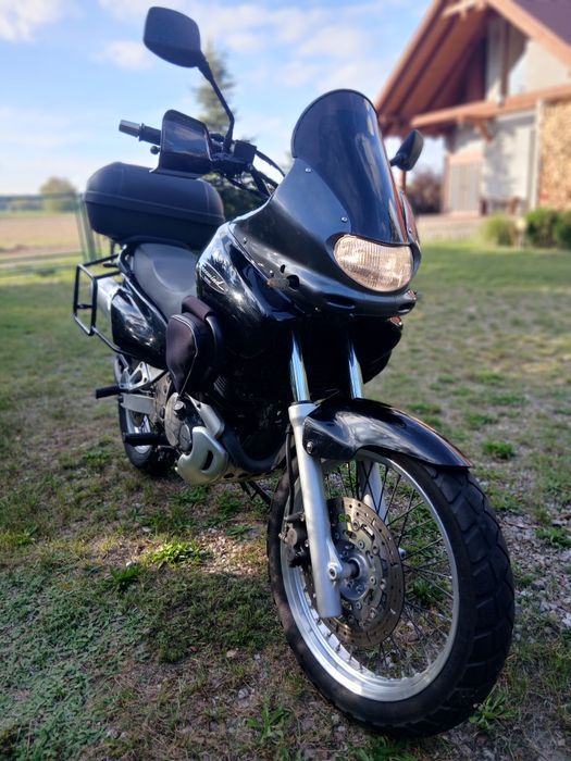 Suzuki xf 650 Freewind