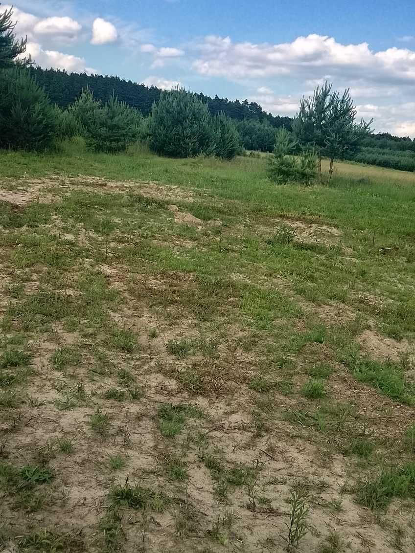 Sprzedam działkę budowlaną z projektem domu