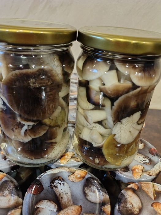 Grzybki marynowane gaski