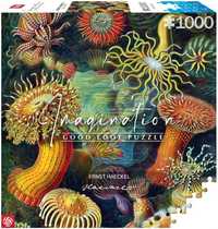 Puzzle Stworzenia morskie, Ernst Haeckel 1000 elementów