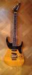 Gitara Jackson Soloist