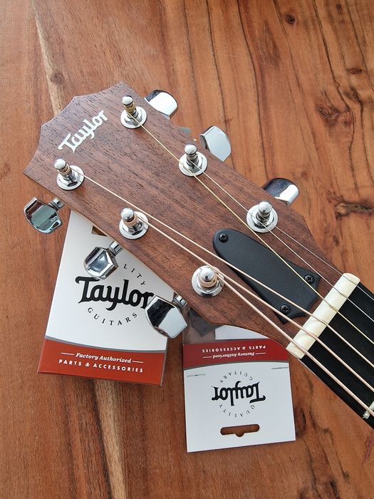 Acessórios guitarra acústica Taylor Guitars USA
