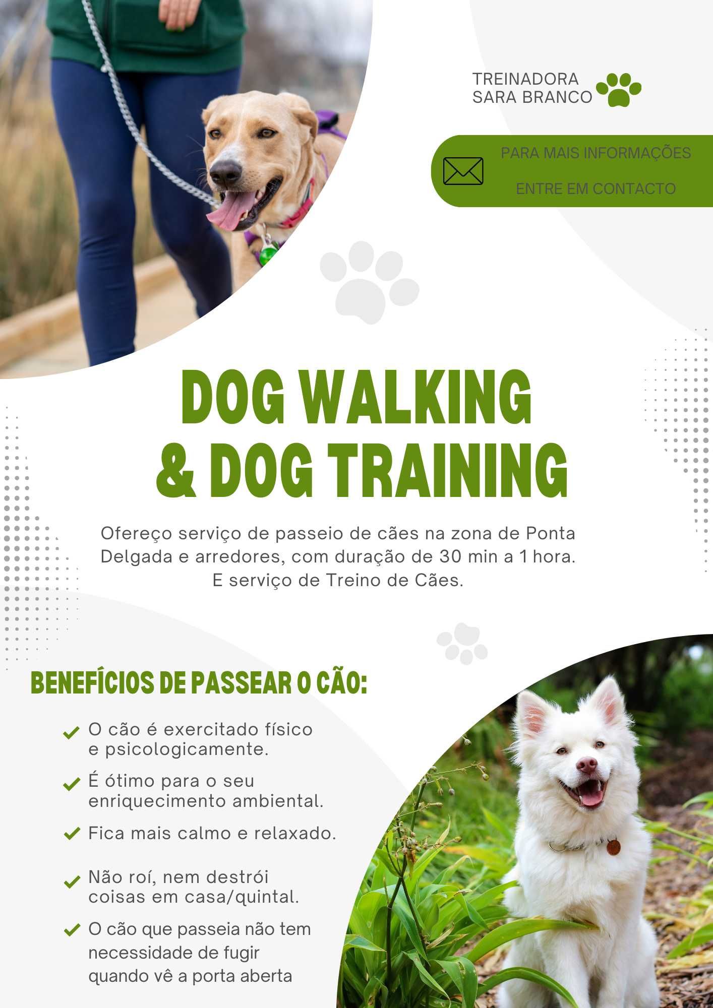 Treino canino e dog walking na Ilha de São Miguel