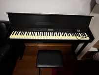 Piano elétrico com banco