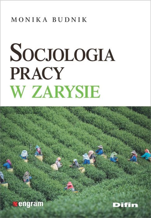 Socjologia Pracy W Zarysie Difin