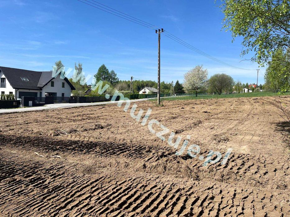 Wycinka drzew Karczowanie rekultywacja działek Mulczowanie Mulczer